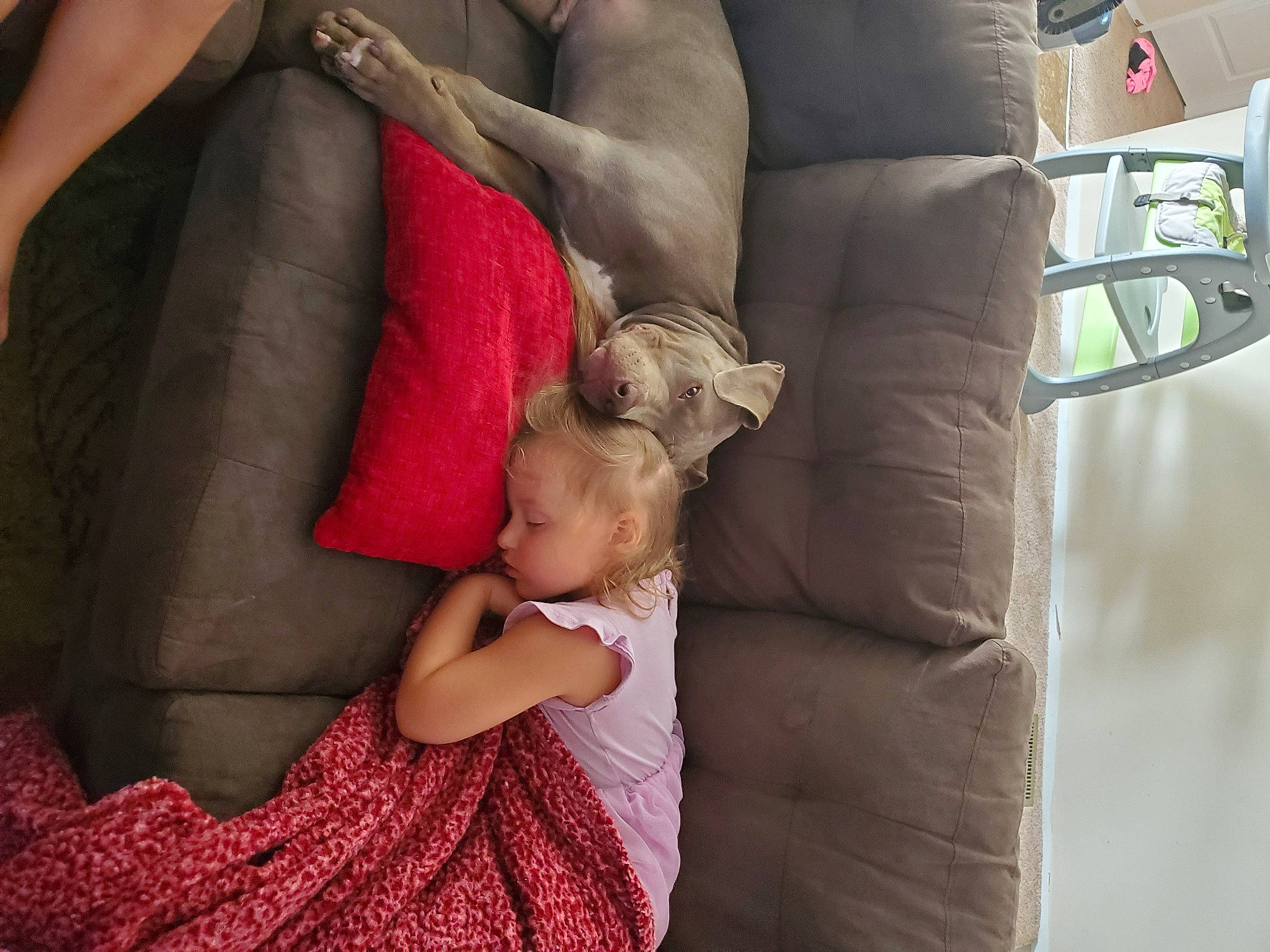 Tyson joined the competition — help win amazing prizes! arm, baby, comfort, couch, finger, fun, gesture, hairstyle, happy, human_body, human_leg, interaction, joint, knee, lap, leg, mouth, shoulder, skin, thigh