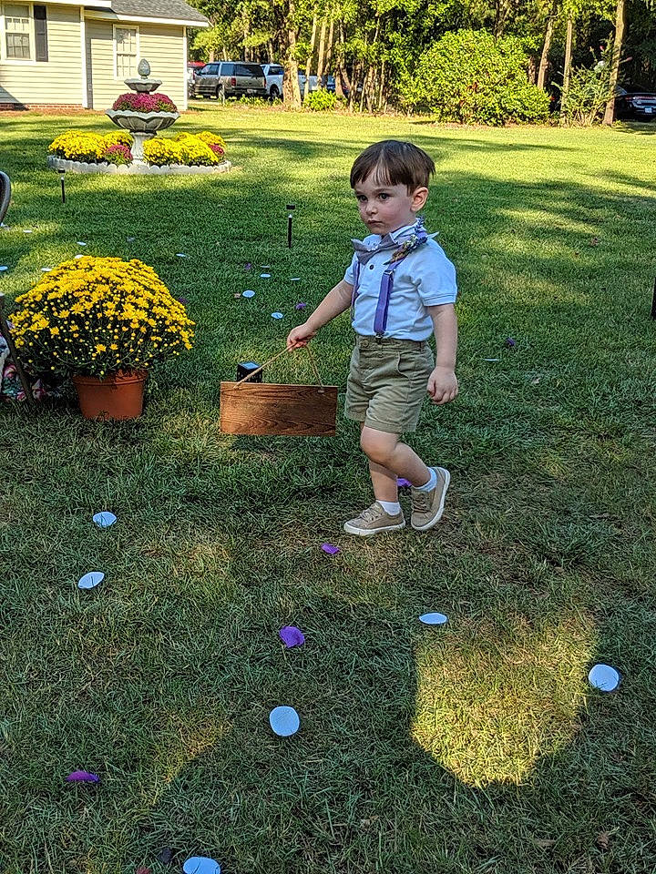 Jaxson is registered to the contest to win money with this photo: child, flower, games, garden, grass, grass_family, lawn, lawn_game, leaf, leisure, park, person, plant, play, recreation, spring, summer, toddler, tree, wildflower