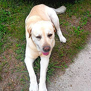 Ulan participe au concours pour gagner de l'argent avec cette photo :