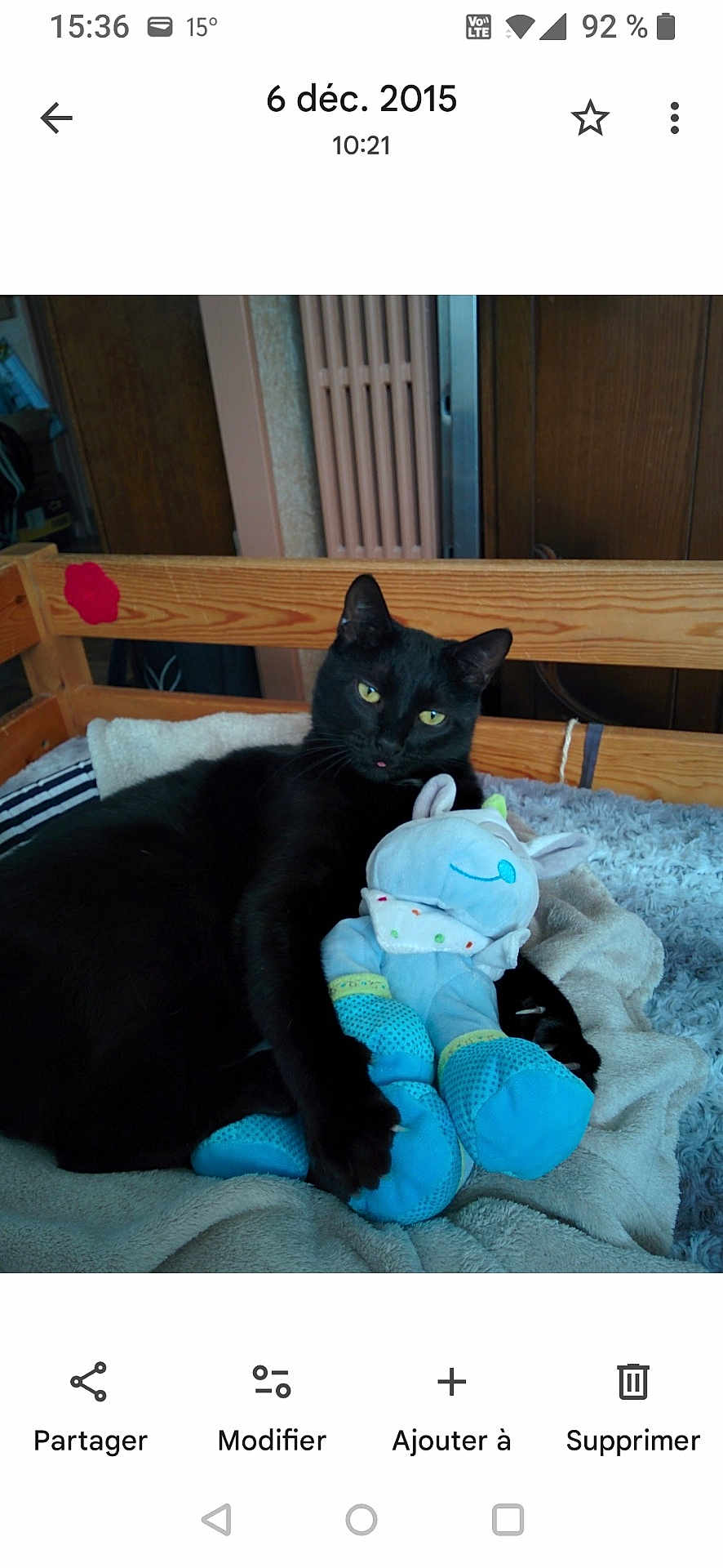 Inao a rejoint le concours — aidez-le/la à gagner de superbes lots ! black_cat, cat, plush_toy, blue_toy, bed, blanket, wooden_bed_frame, indoor, pet, feline, cozy, resting, fur, animal, cute, home, soft_texture, yellow_eyes, tongue_out, relaxed