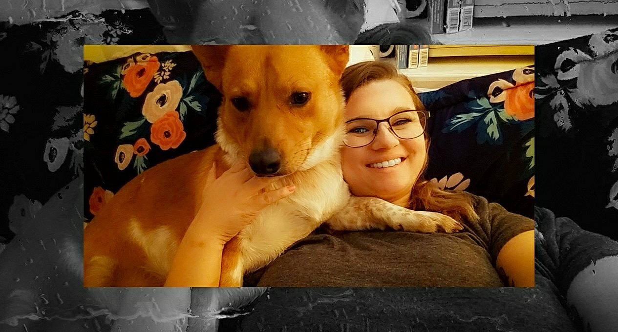 Pistol joined the competition — help win amazing prizes! canidae, carnivore, companion_dog, dog, dog_breed, korean_jindo_dog, labrador_retriever, mammal, non_sporting_group, photo_caption, puppy, puppy_love, snout, sporting_group, vertebrate