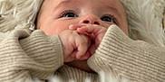 Nahïl participe au concours pour gagner de l'argent avec cette photo : baby, blanket, child, closeup, cozy, cute, expression, eyes, face, hands, indoor, infant, lying, newborn, portrait, soft, sweater, texture, warm, white