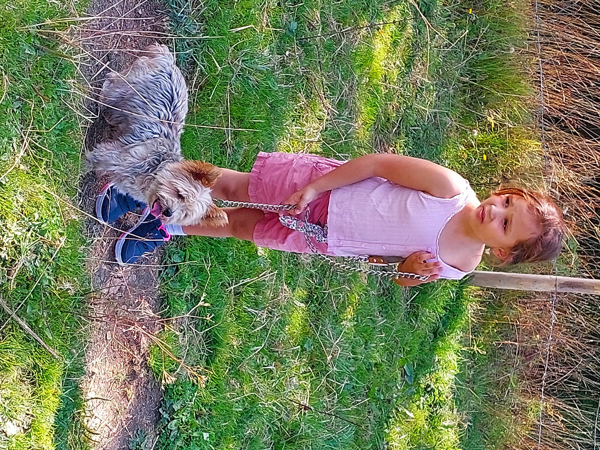 Carina a rejoint le concours — aidez-le/la à gagner de superbes lots ! dog, dress, fawn, fun, grass, grass_family, grassland, happy, leisure, meadow, pasture, people_in_nature, plant, prairie, shrub, tree