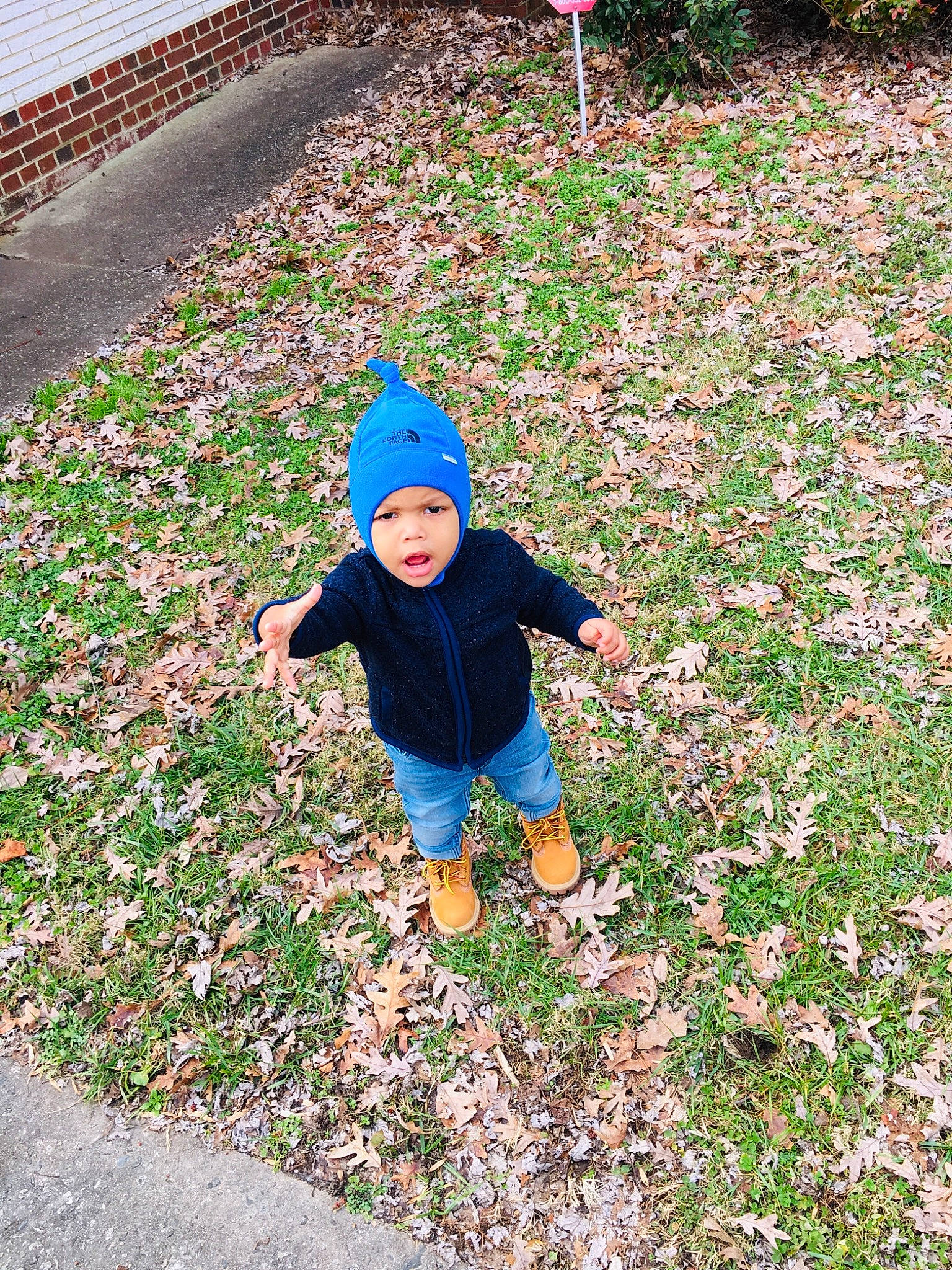 Stacey joined the competition — help win amazing prizes! child, fun, garden, grass, leaf, leisure, person, plant, play, recreation, shrub, soil, toddler, tree, vacation