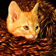 Mucha a rejoint le concours — aidez-le/la à gagner de superbes lots !