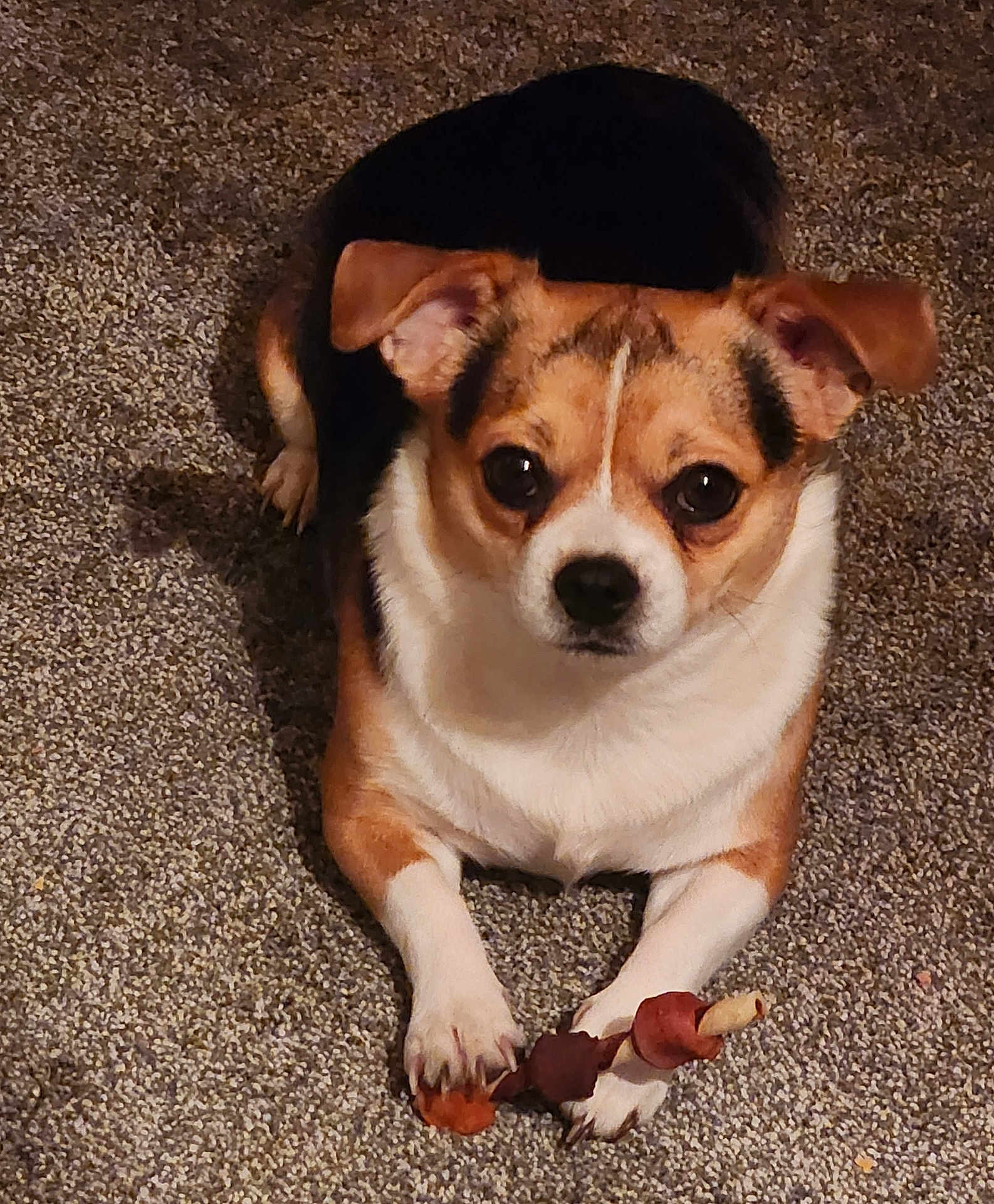 Baby Boy