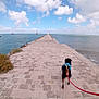 dog, leash, pier, sea, water, sky, clouds, sailboat, lighthouse, stone, outdoor, nature, walk, harness, blue_sky, coast, landscape, travel, adventure, daytime