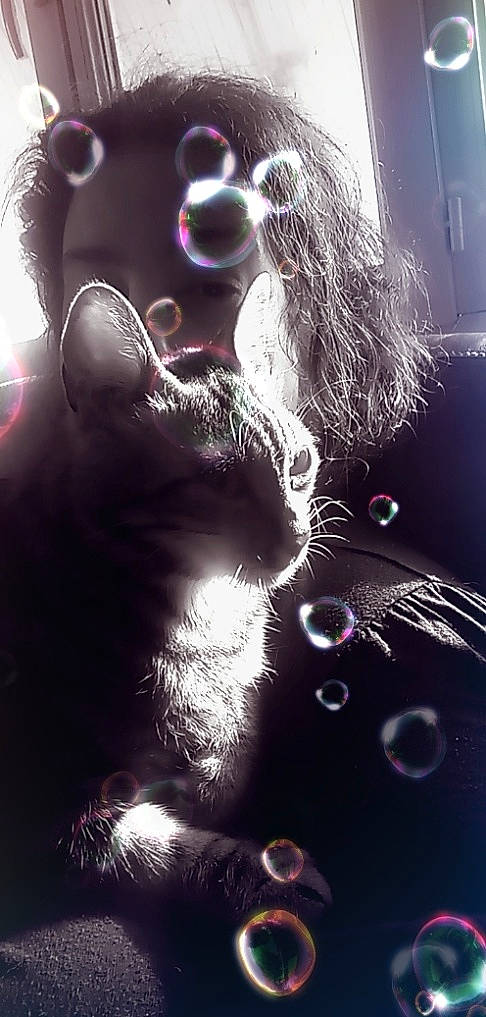 Malibu participe au concours pour gagner de l'argent avec cette photo : art, black_cat, carnivore, cat, claw, darkness, felidae, fur, graphics, magenta, monochrome, monochrome_photography, musical_instrument, organism, paw, small_to_medium_sized_cats, snout, still_life_photography, tail, whiskers