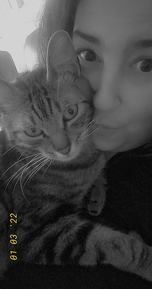 Malibu a rejoint le concours — aidez-le/la à gagner de superbes lots ! black_and_white, carnivore, cat, domestic_short_haired_cat, ear, eyelash, felidae, fur, gesture, happy, iris, jaw, monochrome, monochrome_photography, nose, small_to_medium_sized_cats, snapshot, snout, style, whiskers