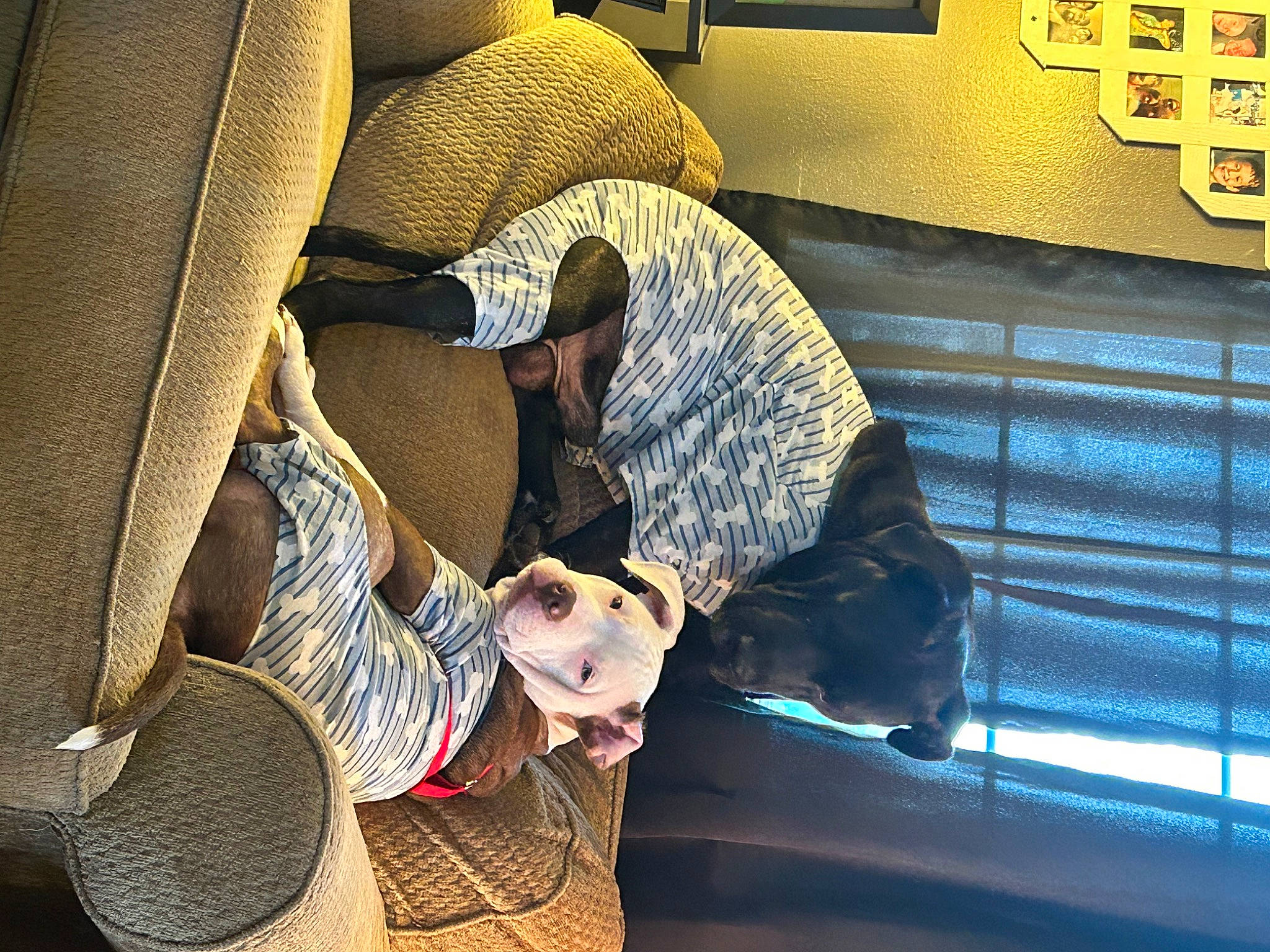 Lincoln joined the competition — help win amazing prizes! auto_part, automotive_tire, backpack, bag, car_seat, comfort, couch, flooring, foot, fun, hat, helmet, human_leg, luggage_and_bags, luxury_vehicle, metal, personal_protective_equipment, room, sitting, tints_and_shades