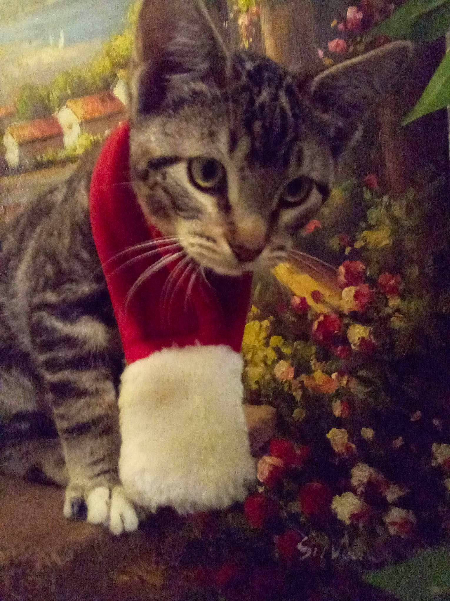 Hans Solo is registered to the contest to win money with this photo: carnivore, cat, claw, domestic_short_haired_cat, fawn, felidae, flower, fur, grass, holiday, love, paw, petal, photo_caption, plant, sky, small_to_medium_sized_cats, tail, tree, whiskers