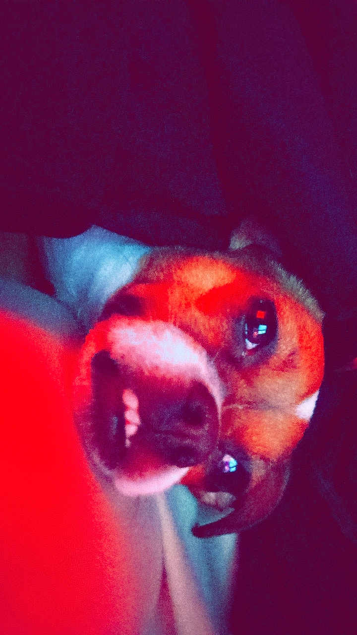 Maybelle