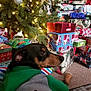 dog, christmas_tree, holiday, presents, gift_wrap, lights, ornaments, carpet, indoor, cozy, festive, pet, sweater, decorations, relaxed, holiday_season, wrapped_gifts, green, red, celebration