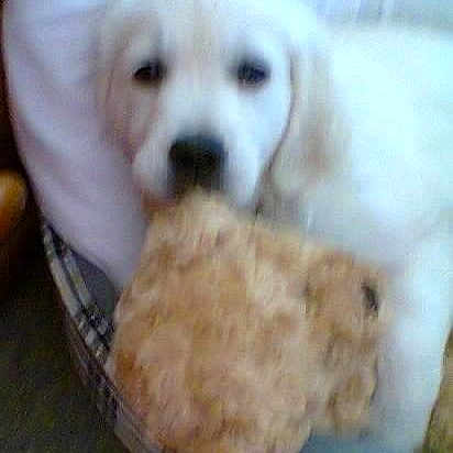 Lilly