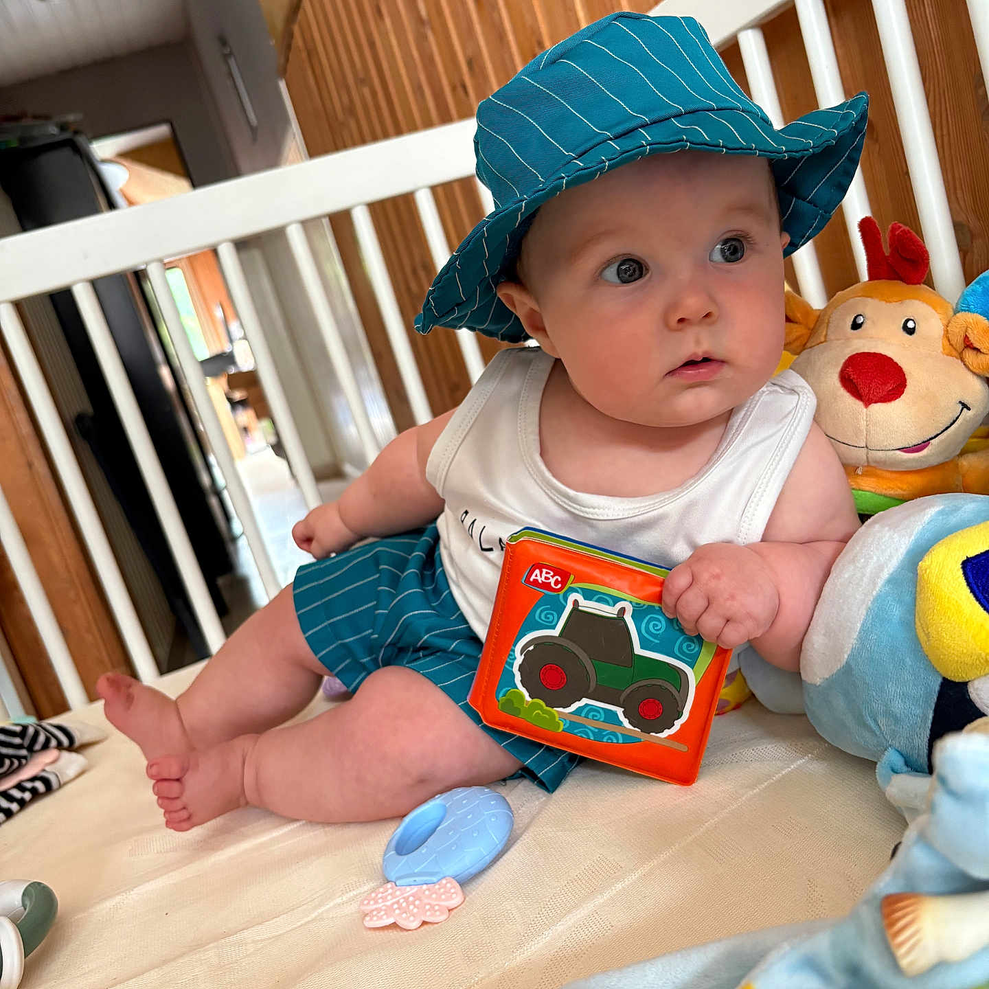Lyam participe au concours pour gagner de l'argent avec cette photo : baby, block, blue, child, clothing, crib, curious, cute, furniture, hat, indoor, infant, person, plush_toy, sitting, soft_toy, teething_toy, toy, white, wood_paneling