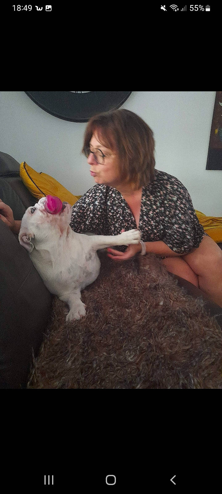 Taïka participe au concours pour gagner de l'argent avec cette photo : canidae, carnivore, cockatoo, companion_dog, dog_breed, felidae, fun, fur, gesture, goat, livestock, picture_frame, small_to_medium_sized_cats, sporting_group, stuffed_toy, tail, terrier, toy, toy_dog, whiskers