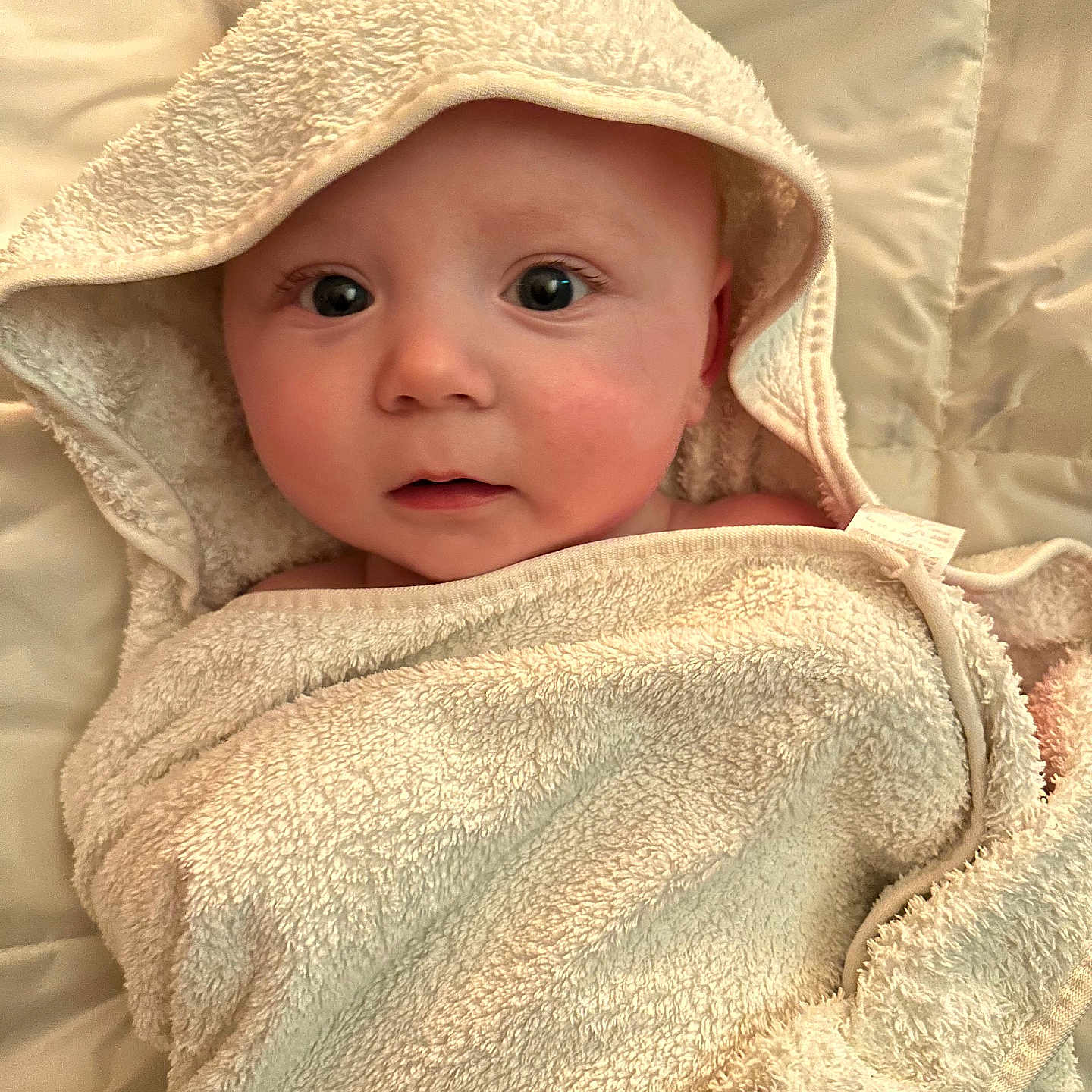 Theo is registered to the contest to win money with this photo: baby, blanket, bonnet, cap, clothing, face, happy, hat, head, hood, hoodie, knitwear, newborn, person, photography, portrait, quilt, sweater, sweatshirt, towel