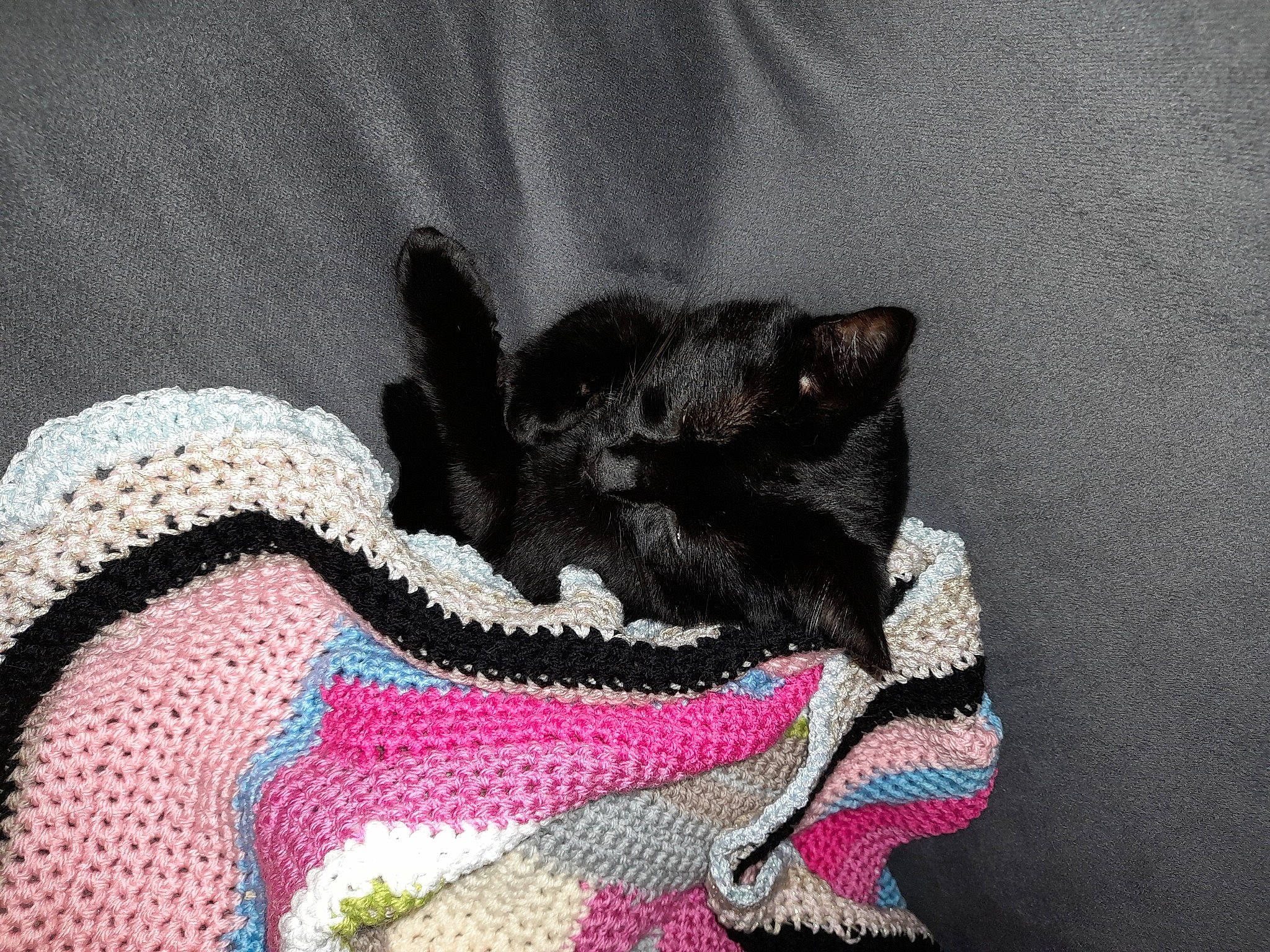 Gaillette participe au concours pour gagner de l'argent avec cette photo : art, black_cat, carmine, carnivore, cat, fashion_accessory, fawn, felidae, fur, linens, pattern, paw, small_to_medium_sized_cats, stuffed_toy, tail, terrestrial_animal, thread, whiskers, wool, woolen