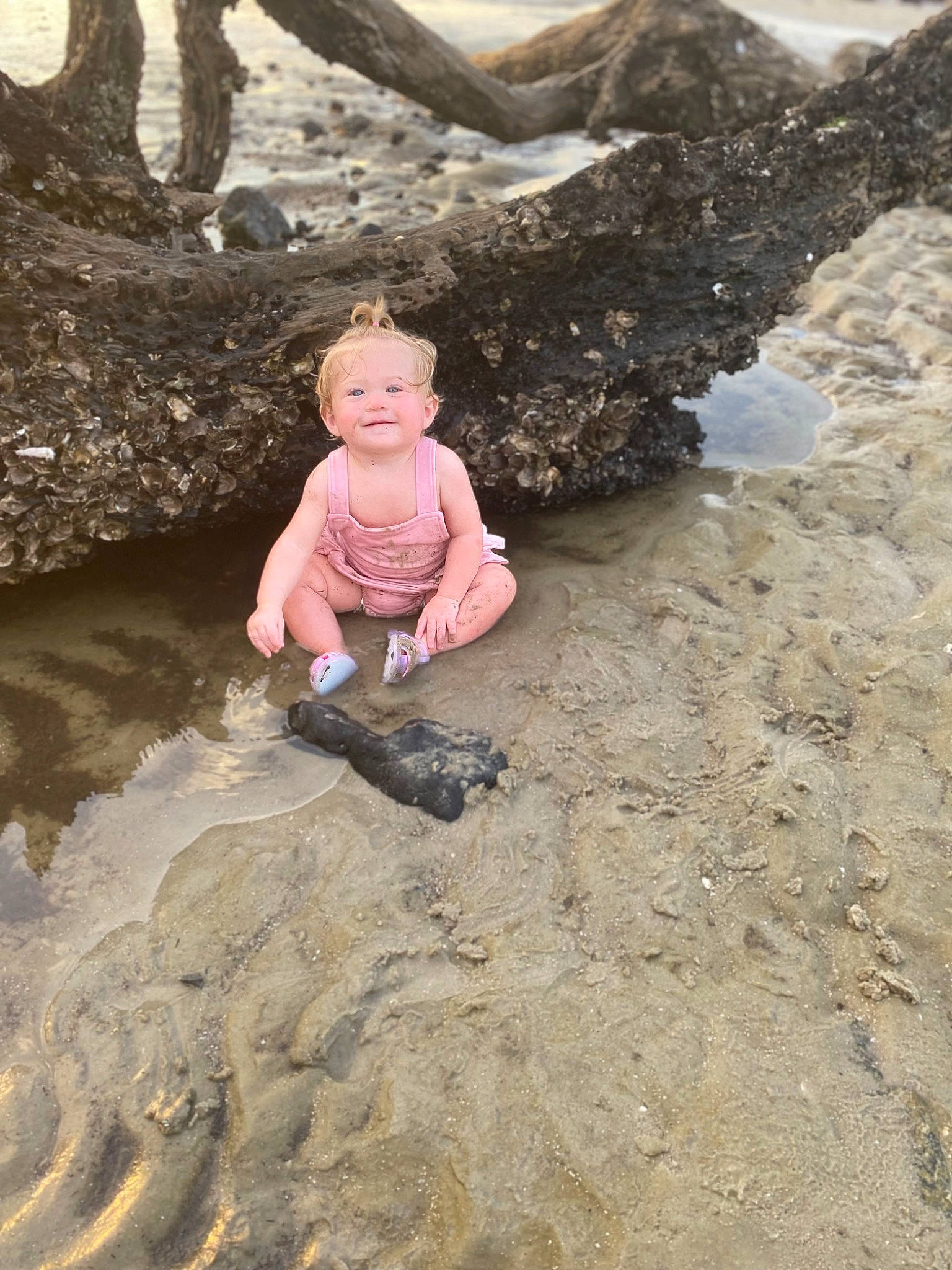 Paisley joined the competition — help win amazing prizes! baby, beach, bedrock, coast, fun, geological_phenomenon, geology, happy, joy, landscape, leisure, people_in_nature, person, recreation, rock, sand, shore, soil, toddler, water