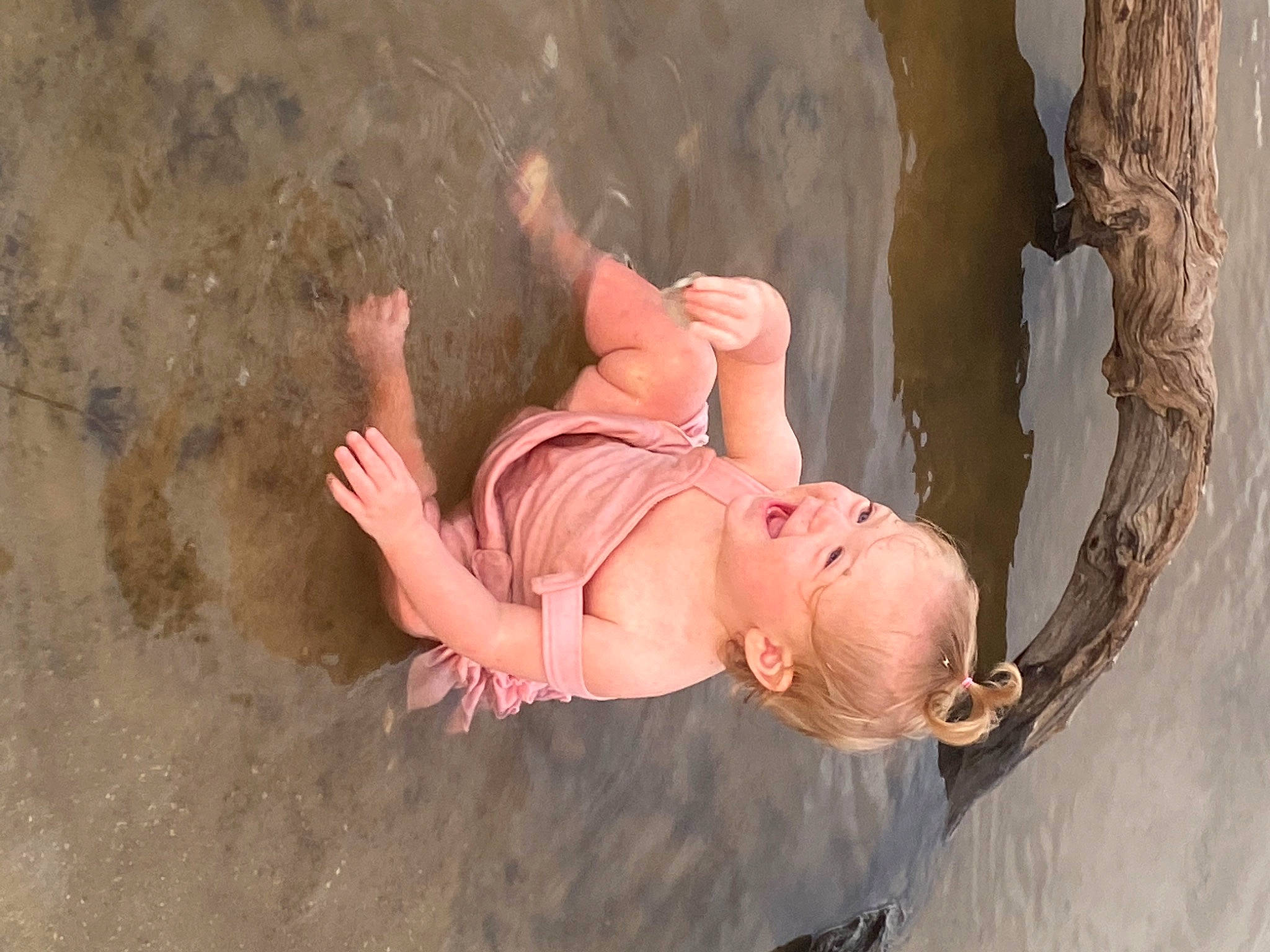 Paisley is registered to the contest to win money with this photo: abdomen, elbow, fawn, flash_photography, fun, hand, human_body, human_leg, leg, mammal, person, plant, skin, stomach, sunglasses, thigh, toddler, tree, trunk, vertebrate