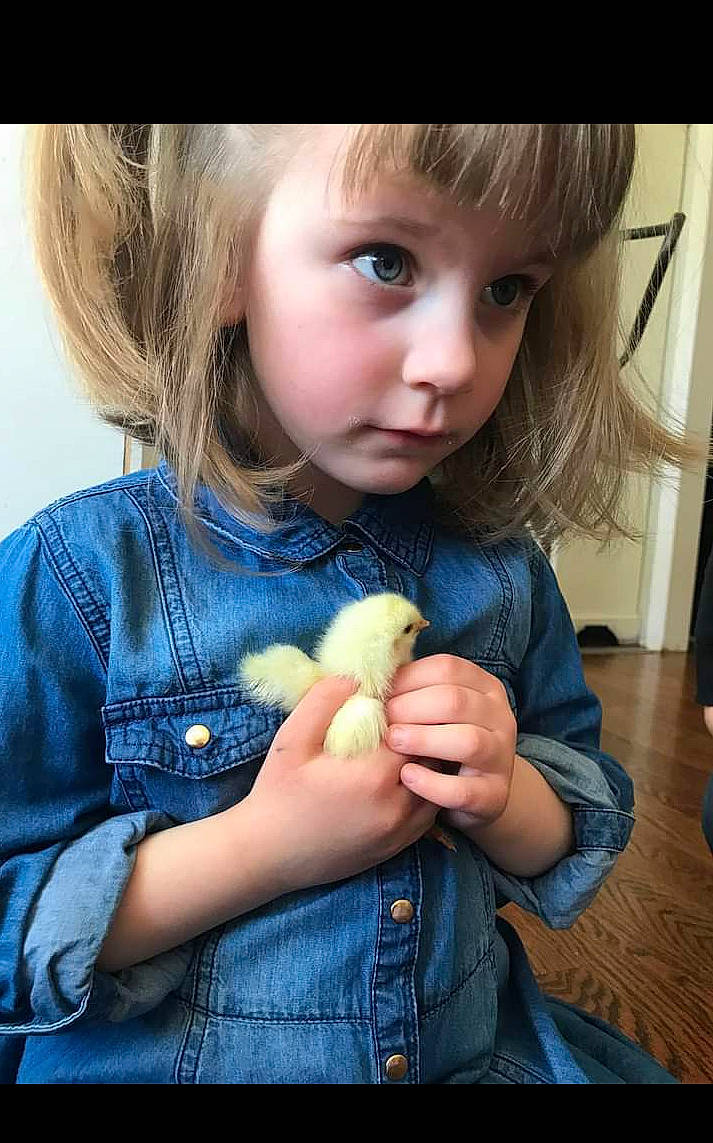 Emily joined the competition — help win amazing prizes! blond, brown_hair, child, clothing, doll, fawn, finger, food, food_craving, fruit, gesture, headwear, iris, jeans, nail, nose, person, plant, skin, thumb