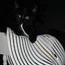 animal, black_cat, close_up, curious, cute, dark_background, domestic_cat, feline, green_eyes, household_item, indoor, kitten, nibbling, no_faces, pet, playful, striped_hat, striped_pattern, white_chair, young_cat