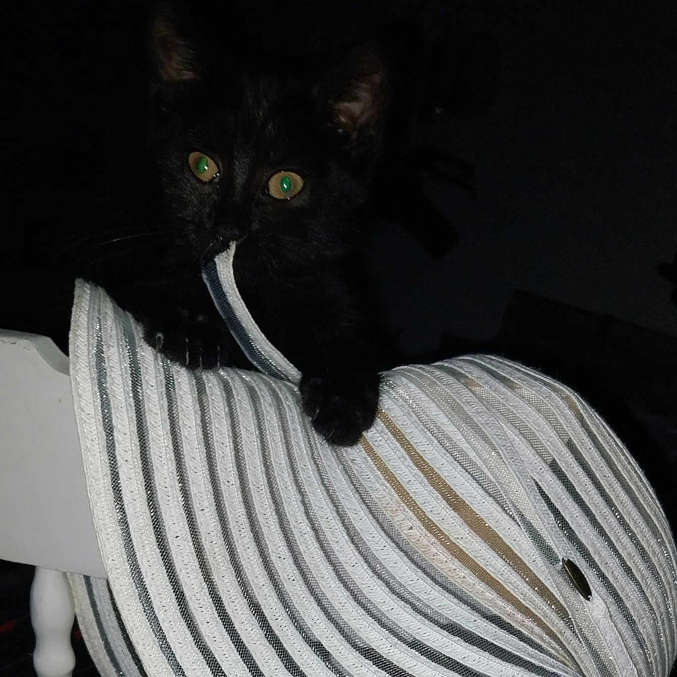 Sirius