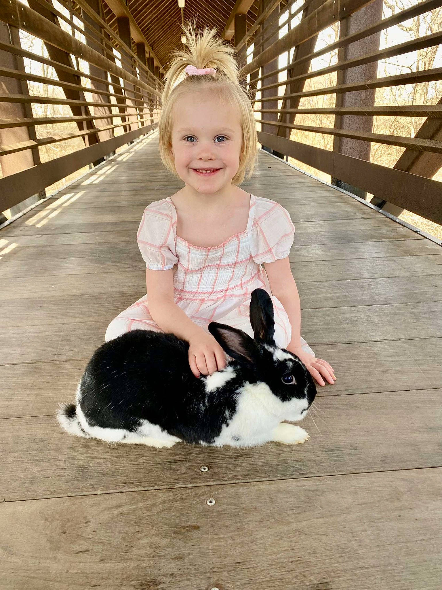 Maci is registered to the contest to win money with this photo: child, companion_dog, dog_breed, face, fawn, flash_photography, fun, fur, grass, happy, human_leg, joy, knee, leisure, mammal, person, rabbit, skin, smile, toddler