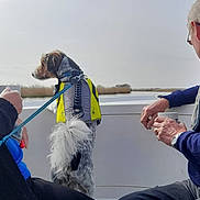 Teddy is registered to the contest to win money with this photo: dog, life_jacket, boat, river, mug, elderly_couple, leash, window, seated, profile_view, outdoors, sky, water, hand, glass_panel, jacket, gray_hair, relaxation, travel, scenic_view