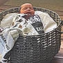 newborn, baby, basket, blanket, sleeping, wooden_floor, woven, cozy, indoor, child, wrapped, peaceful, infant, patterned_blanket, resting, cute, small, portrait, calm, home