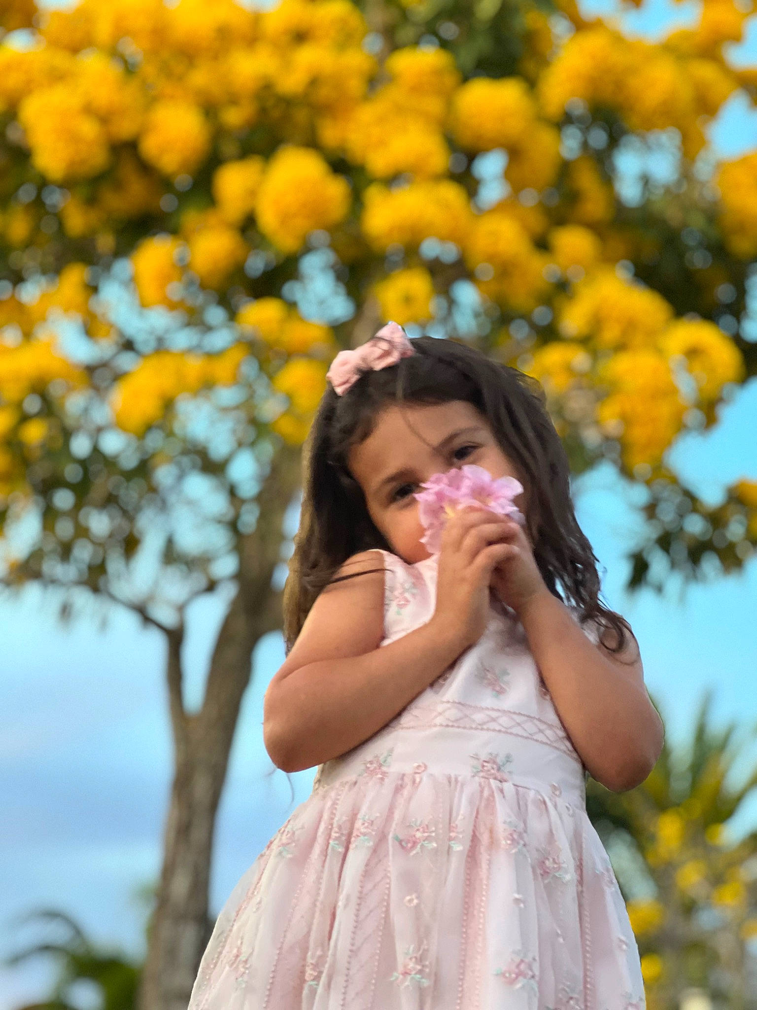 Lina is registered to the contest to win money with this photo: botany, branch, dress, facial_expression, flash_photography, flower, hair, hairstyle, happy, leaf, lip, nature, people_in_nature, person, photograph, plant, skin, smile, standing, sunlight
