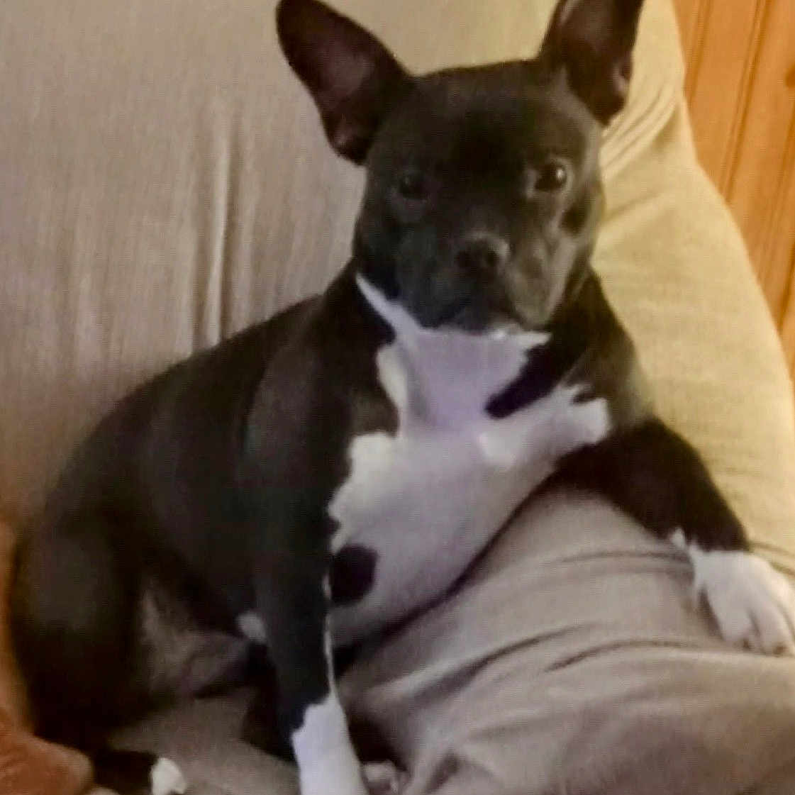 Penny