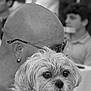 black_and_white, man, bald, glasses, earring, dog, small_dog, fluffy, bandana, pet, portrait, holding, close_up, indoor, people, blurred_background, face, expression, companion, affection
