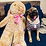 Lucas joined the competition — help win amazing prizes! animal, bed, blue_bedspread, bunny, cozy, cute, dog, fluffy, friendship, head_tilt, indoor, pet, pink_bow, plush, pug, striped_shirt, stuffed_toy, tongue_out, toy, wooden_headboard