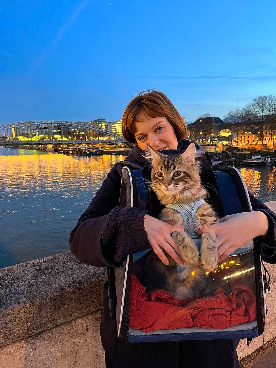 Marcello a rejoint le concours — aidez-le/la à gagner de superbes lots ! brown_hair, carnivore, cat, fawn, felidae, flash_photography, fun, fur, grass, happy, lake, leisure, people_in_nature, sitting, sky, small_to_medium_sized_cats, travel, tree, whiskers, winter