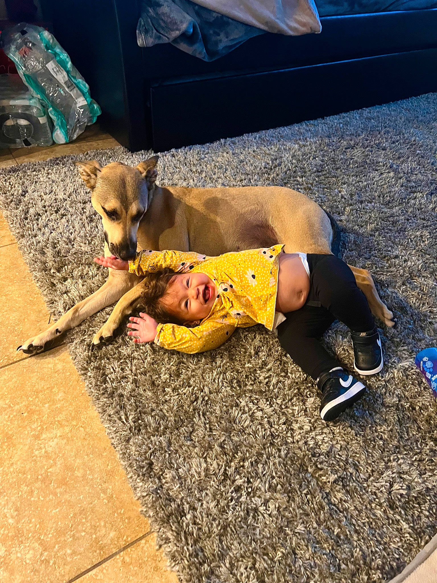 Faye is registered to the contest to win money with this photo: asphalt, automotive_exterior, carnivore, chest, companion_dog, dog, dog_breed, fawn, human_leg, knee, metal, person, physical_fitness, recreation, road, road_surface, sidewalk, sporting_group, sportswear, thigh