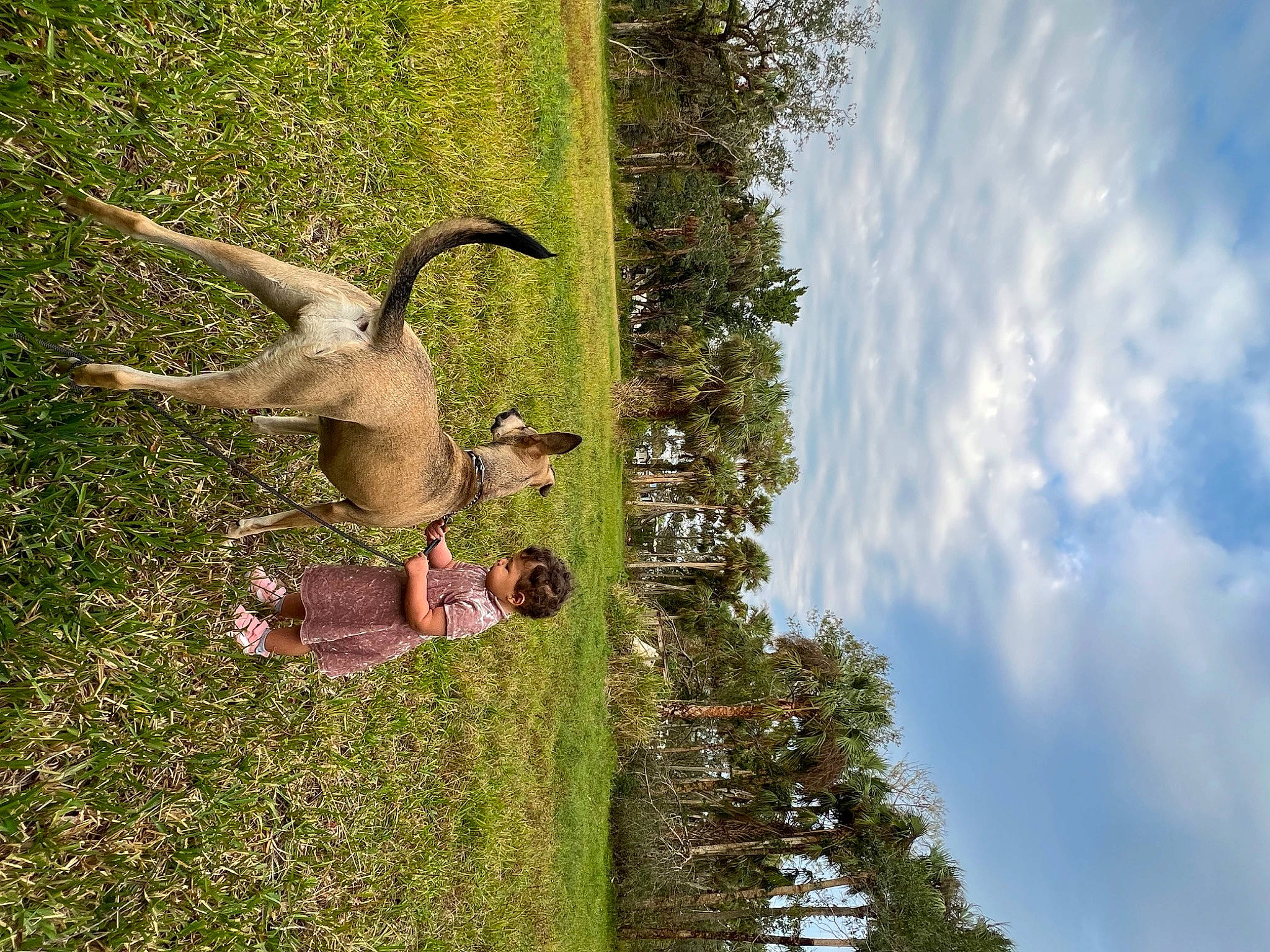 Faye joined the competition — help win amazing prizes! art, beak, cloud, fawn, grass, house, landscape, leisure, person, plant, sculpture, shrub, sky, tail, terrestrial_animal, tree, trunk, water, wheel, wood