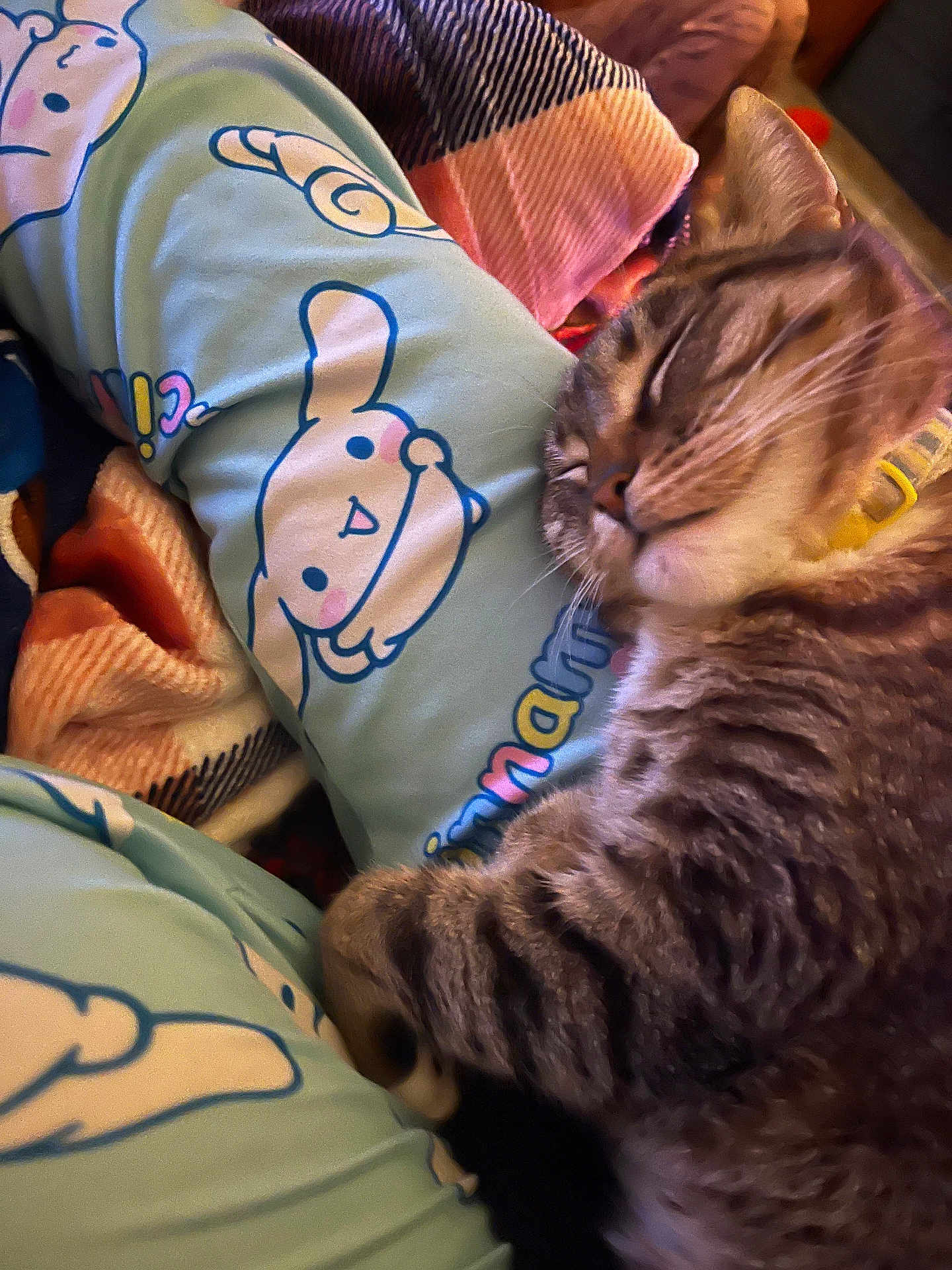 Jolene is registered to the contest to win money with this photo: cat, tabby, sleeping, bed, blanket, pillow, cartoon, pattern, cozy, indoor, pet, fur, striped, closeup, relaxed, cute, animal, resting, soft, comfort