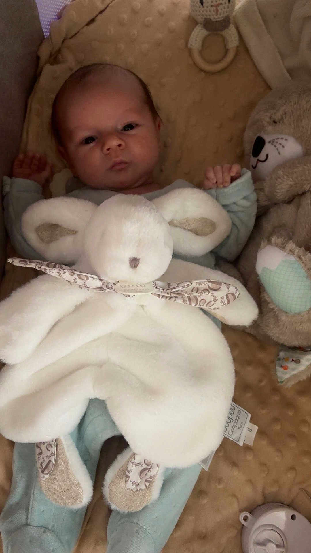 Ilyan participe au concours pour gagner de l'argent avec cette photo : baby, infant, plush_toy, blanket, soft_texture, stuffed_animal, cute, sleepwear, child, comfort, lying_down, indoors, toy, peaceful, face, hand, footwear, nursery, cuddle, rest