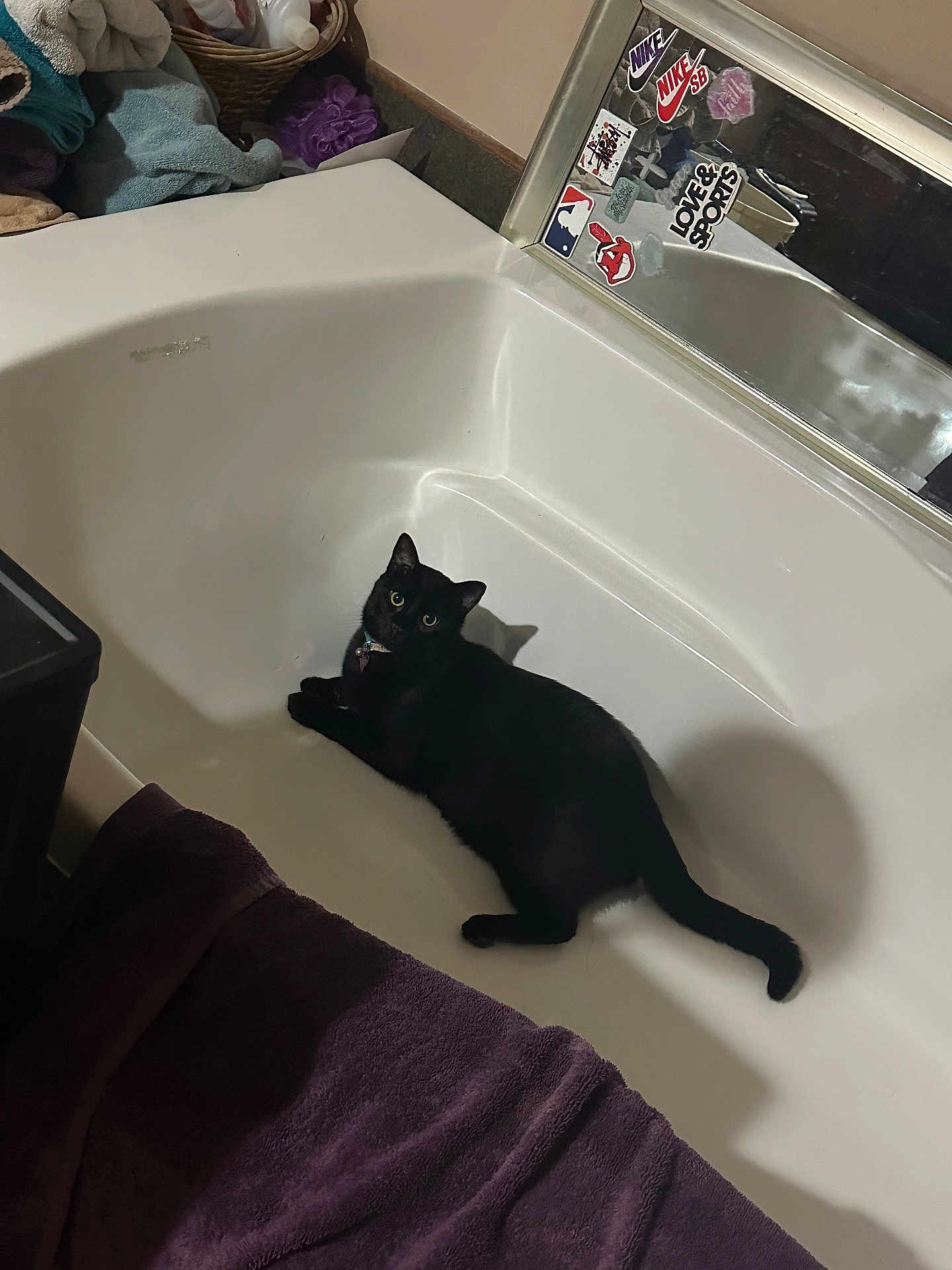 Felix
