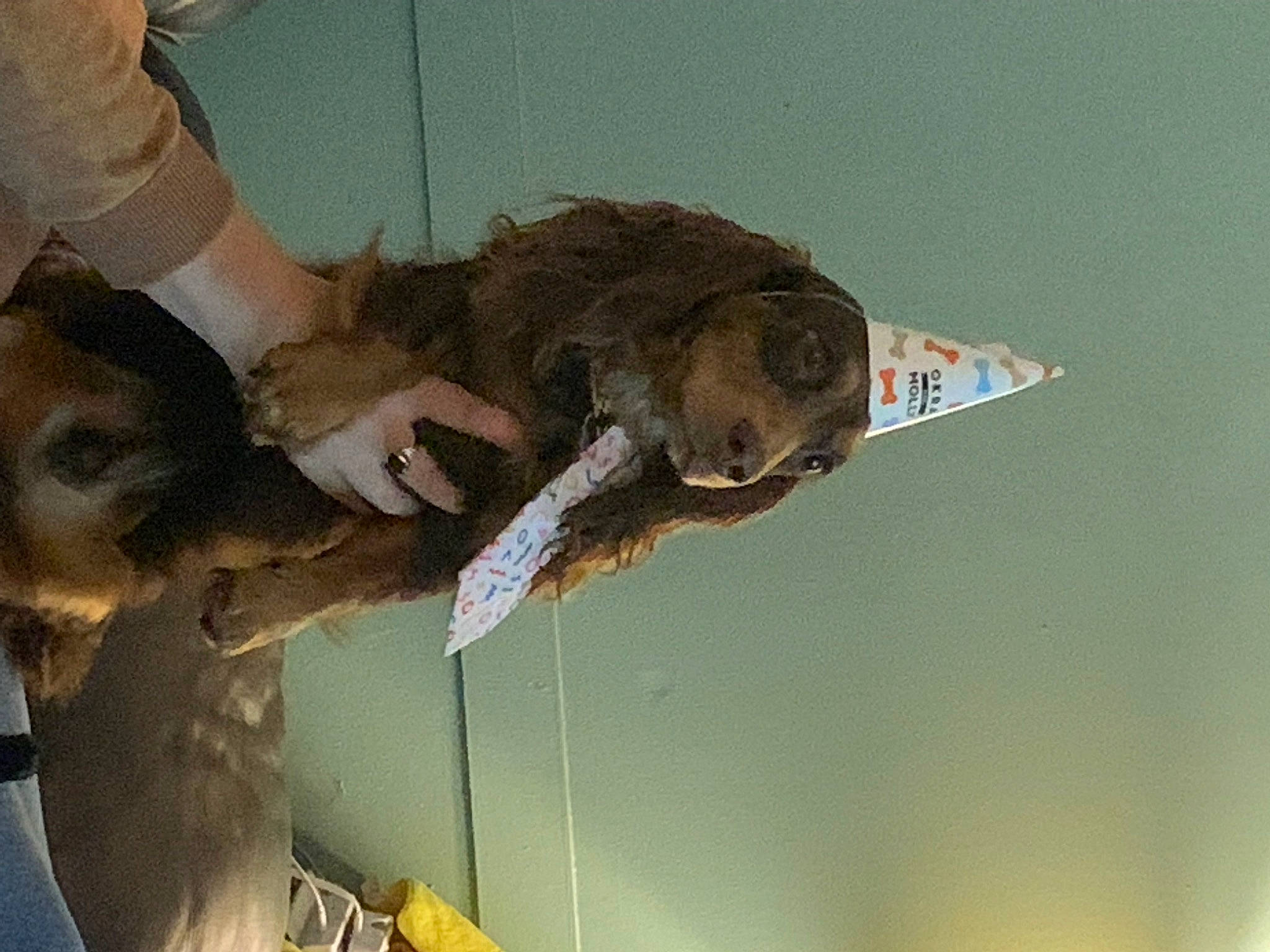 Charlie joined the competition — help win amazing prizes! bony_fish, fin, fish, gesture, jaw, ray_finned_fish, reptile, water, wildlife_biologist, wood