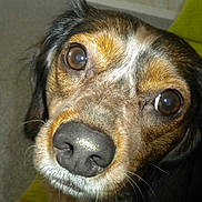 Princesse participe au concours pour gagner de l'argent avec cette photo :