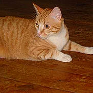 Zizou a rejoint le concours — aidez-le/la à gagner de superbes lots !