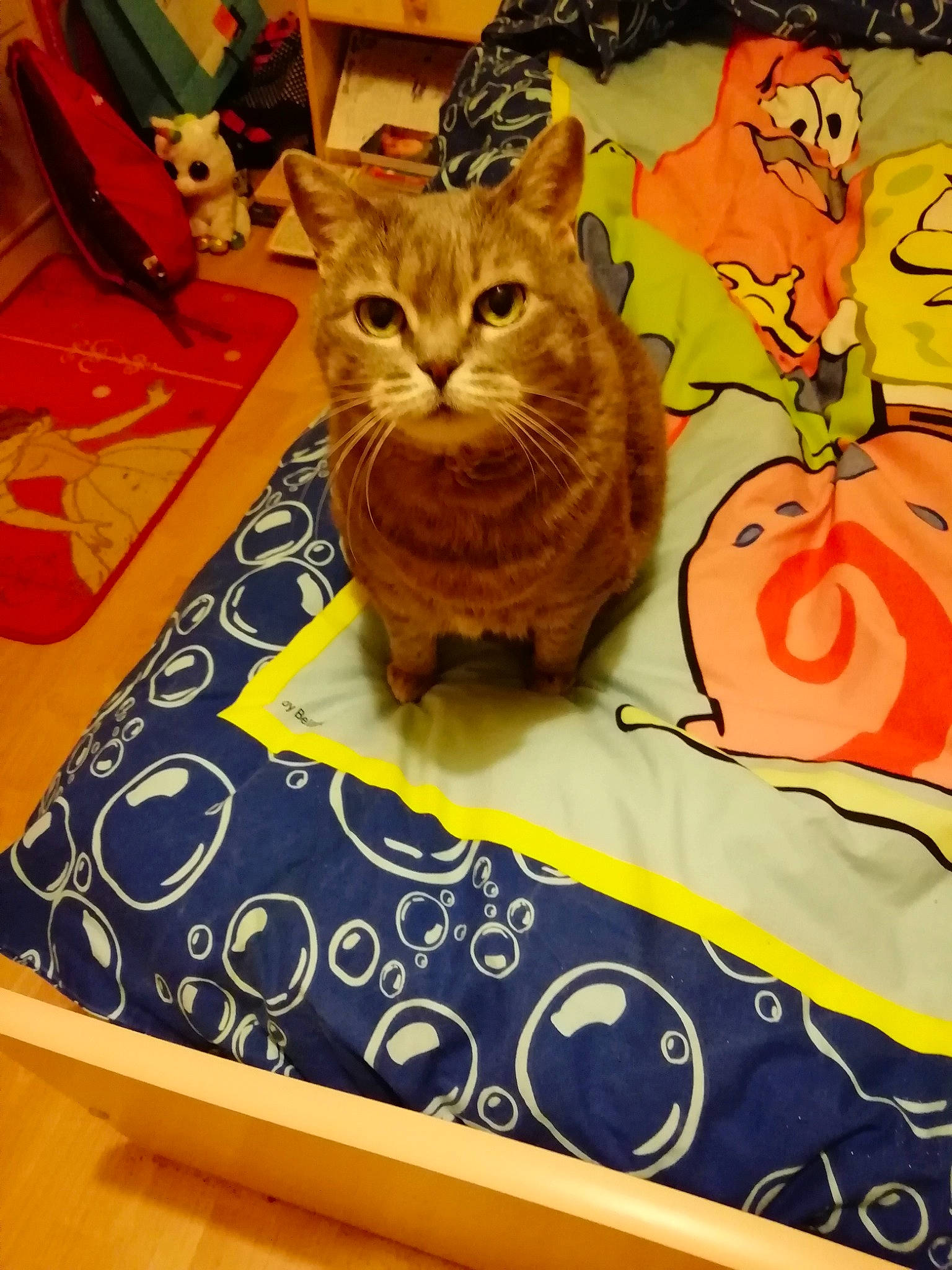 Gribouille a rejoint le concours — aidez-le/la à gagner de superbes lots ! art, carnivore, cat, domestic_short_haired_cat, fawn, felidae, flooring, fur, linens, pattern, paw, rectangle, room, small_to_medium_sized_cats, snout, tail, textile, visual_arts, whiskers, yellow