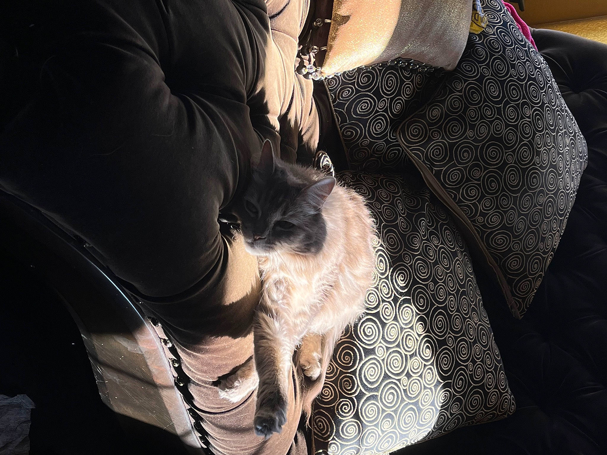 Cede is registered to the contest to win money with this photo: comfort, elbow, eyewear, fashion_accessory, fashion_design, flash_photography, gesture, human_leg, jewellery, joint, long_hair, monochrome_photography, nail, pattern, sleeve, t_shirt, textile, thigh, tints_and_shades, wrist