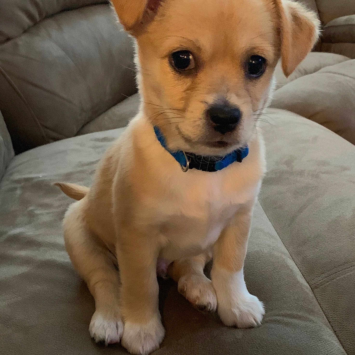 Bo Garza