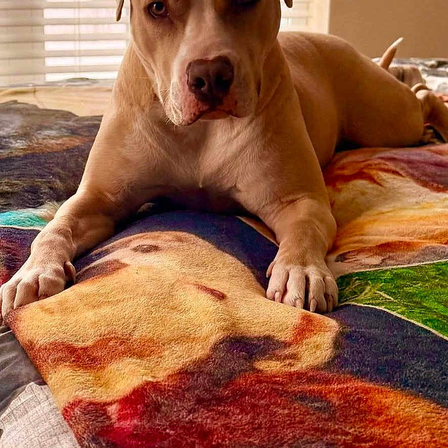 Remi Hruby