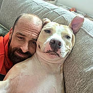 Remi is registered to the contest to win money with this photo: affection, beard, brown_eyes, closeup, companion, couch, dog, facial_expression, floppy_ears, home, indoors, lying_down, man, pet, photography, portrait, relaxing, selfie, sitting, white_dog