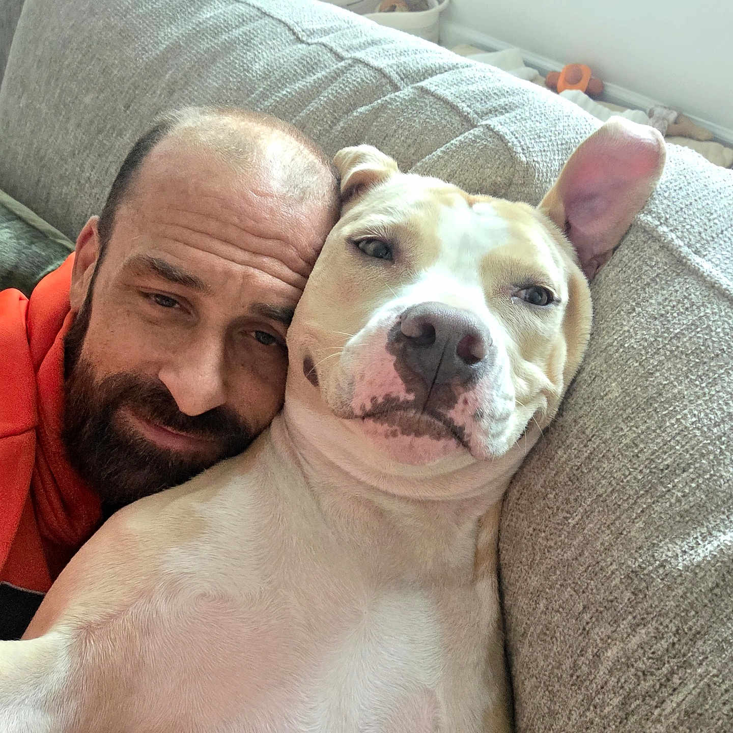 Remi