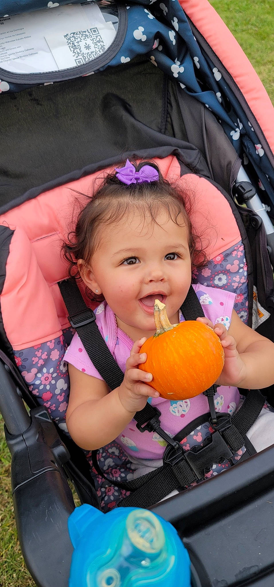 Riley joined the competition — help win amazing prizes! baby_toddler_clothing, calabaza, child, cucurbita, face, fruit, fun, gourd, happy, iris, natural_foods, person, photograph, pink, plant, product, pumpkin, purple, toddler, vegetable